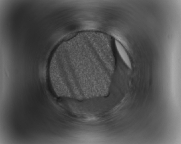 X0000089710156200707201807