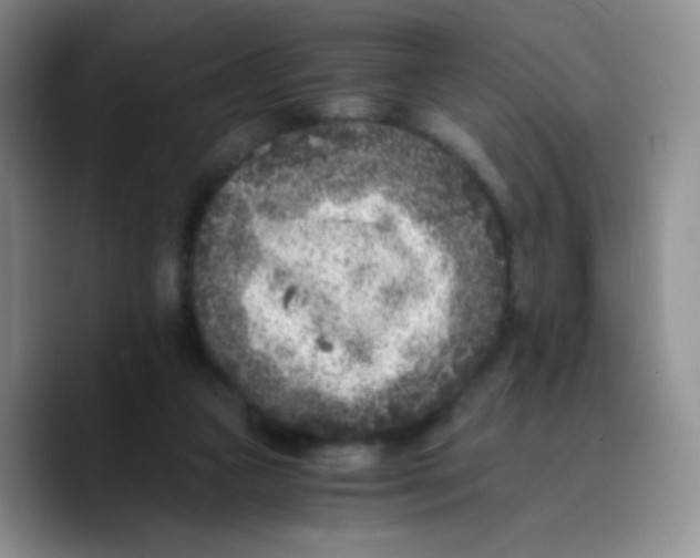 X0000089710161200707201807
