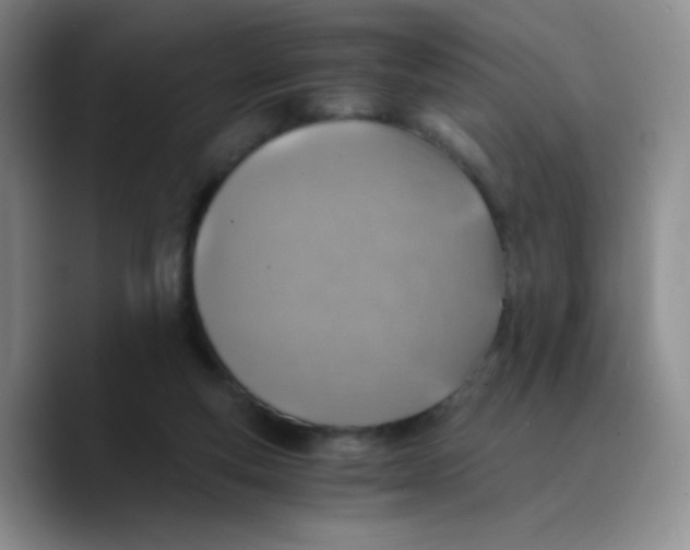 X0000089710163200707201808