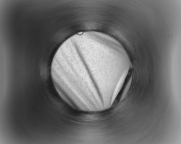 X0000089710164200707201808