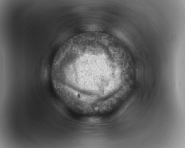 X0000089710165200707201808