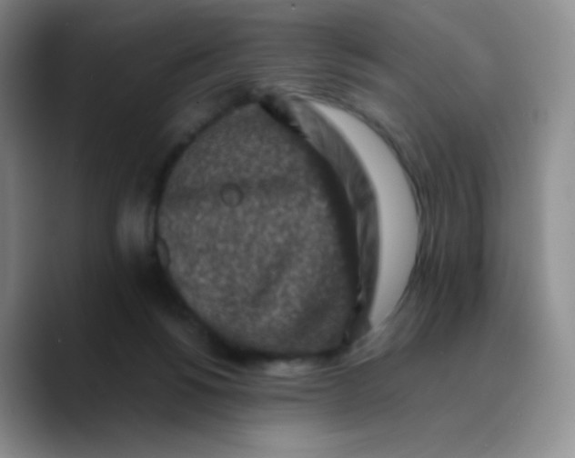 X0000089710168200707201808
