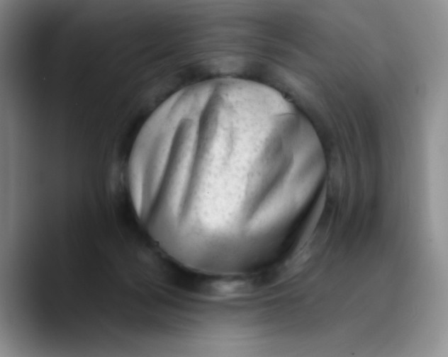 X0000089710172200707201808