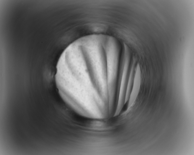 X0000089710176200707201808