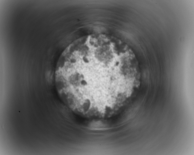 X0000089710177200707201808