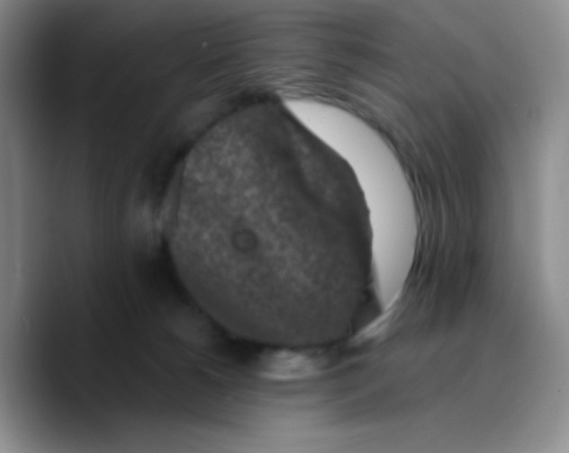 X0000089710180200707201808