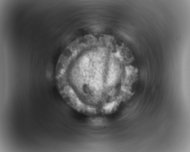 X0000089710181200707201808