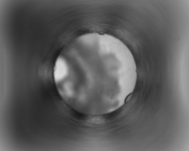 X0000089710185200707201808