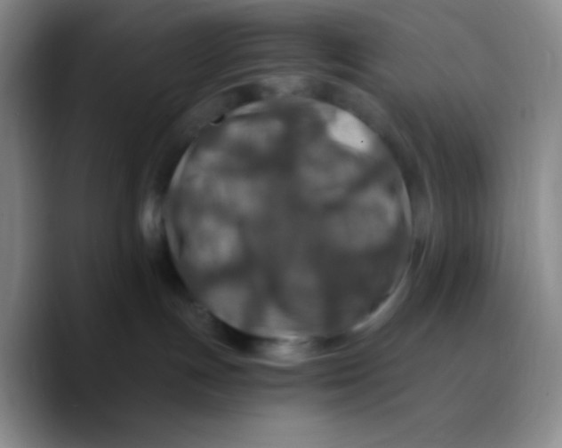 X0000089710191200707201808
