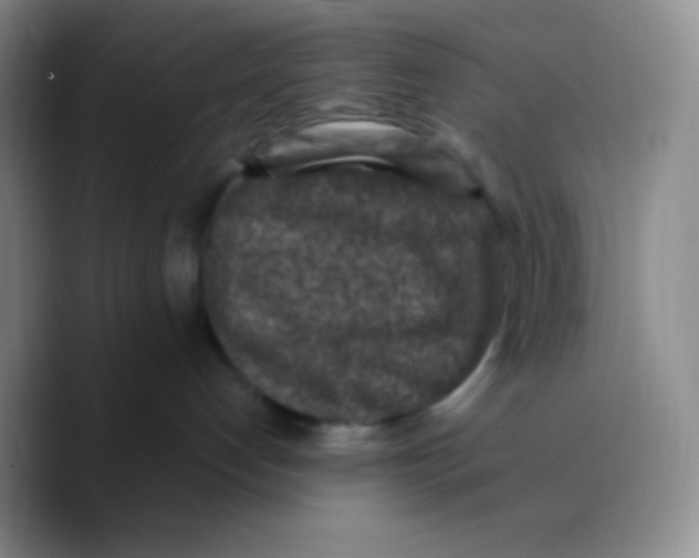 X0000089710192200707201808