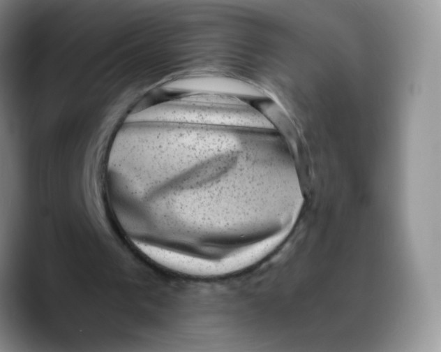 X0000089710193200707201807