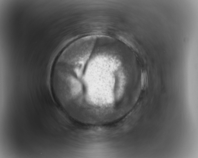 X0000089710195200707201807