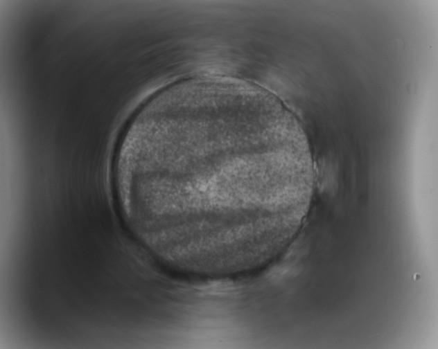 X0000089710196200707201807