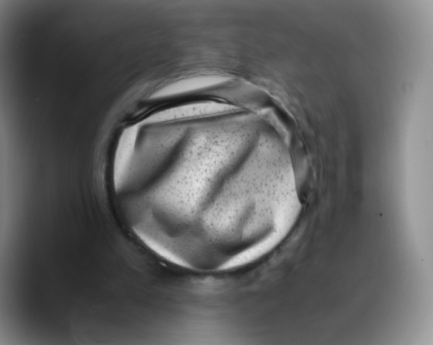X0000089710197200707201807