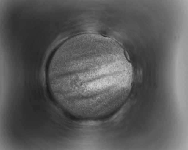 X0000089710198200707201807