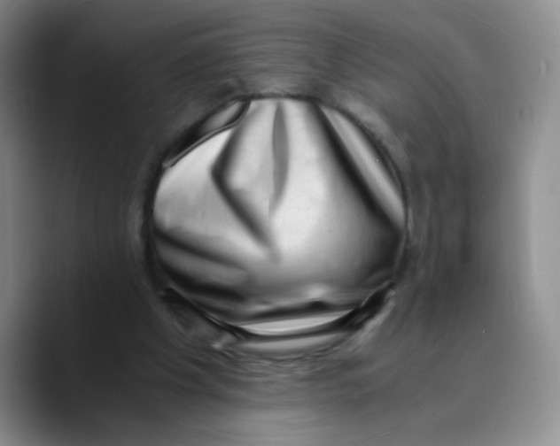 X0000089710201200707201807