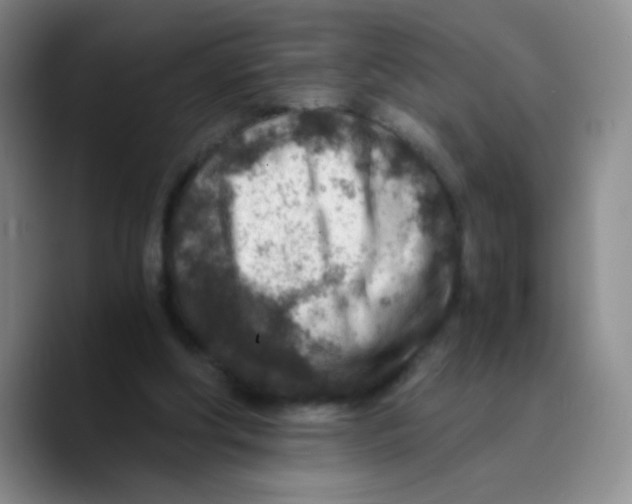 X0000089710202200707201807