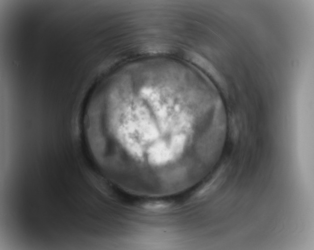 X0000089710203200707201807