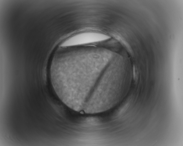 X0000089710204200707201807