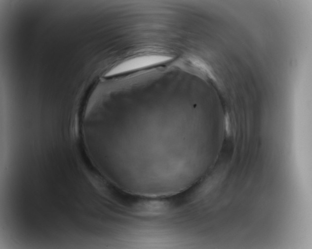X0000089710205200707201807