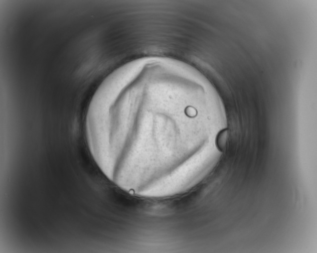 X0000089710208200707201807