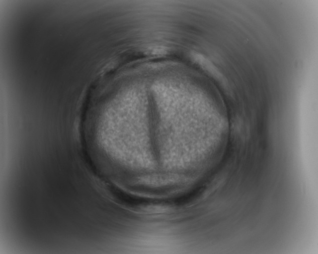 X0000089710209200707201807