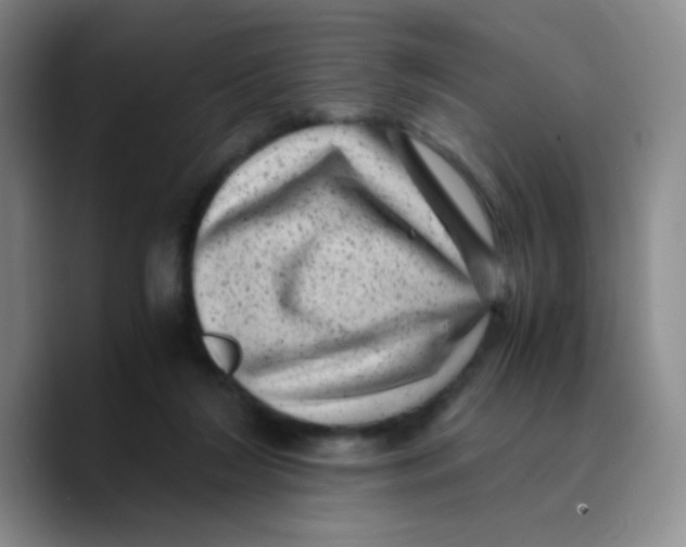 X0000089710212200707201807