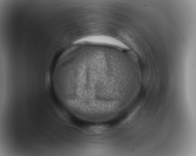 X0000089710213200707201807