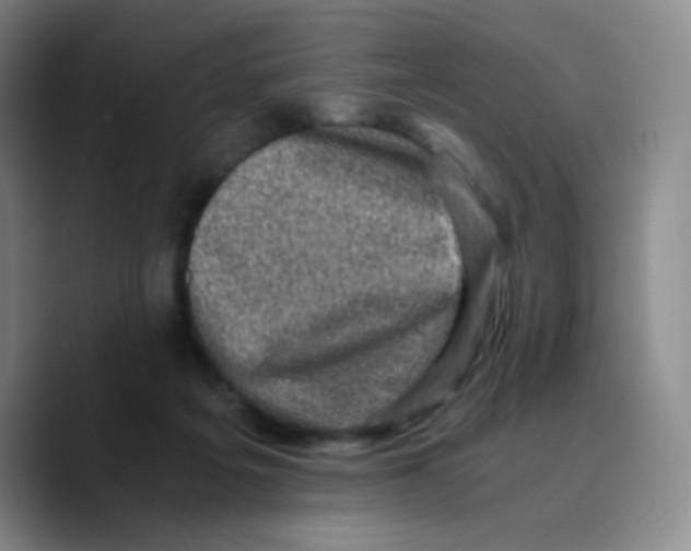 X0000089710217200707201807