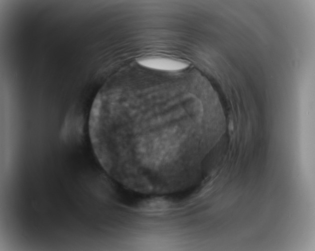 X0000089710219200707201807