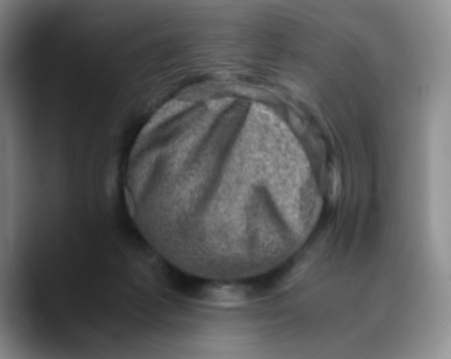 X0000089710221200707201807