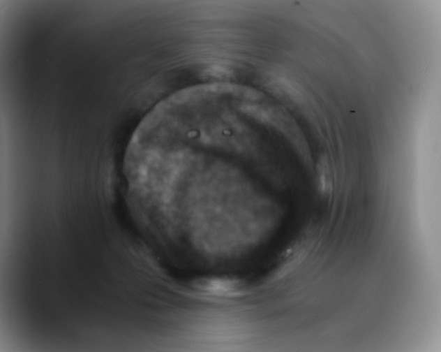 X0000089710223200707201807