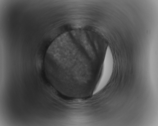 X0000089710227200707201807