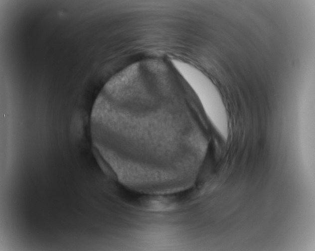 X0000089710229200707201807