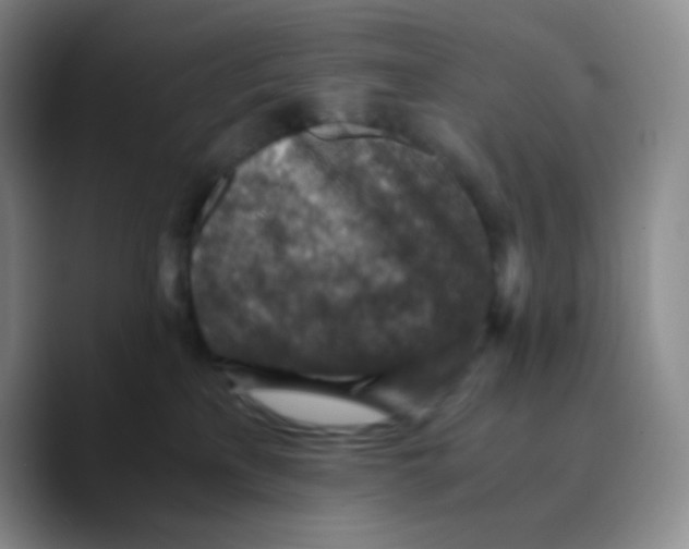 X0000089710233200707201807