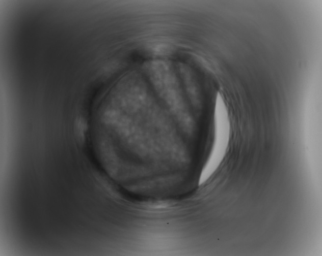 X0000089710235200707201807