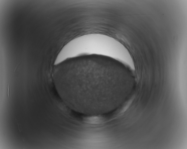 X0000089710237200707201807