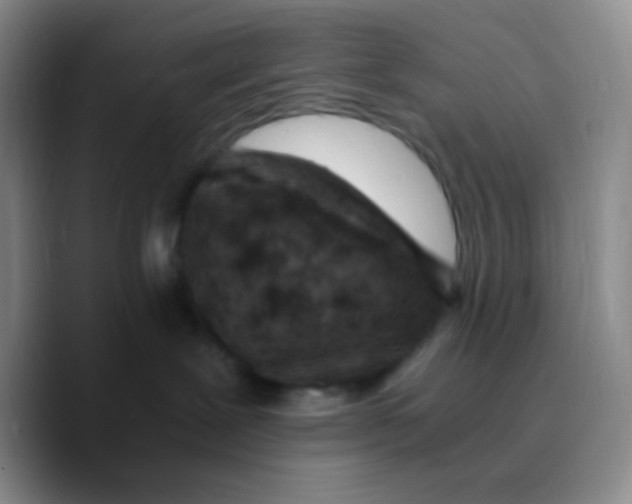 X0000089710239200707201807