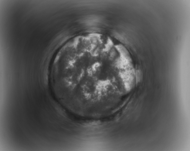 X0000089710243200707201806