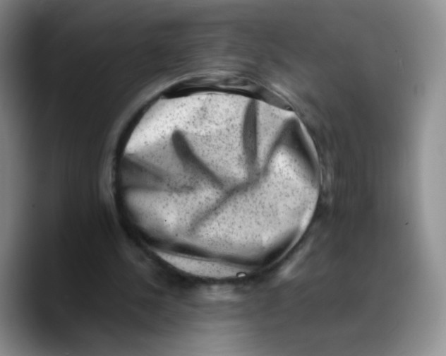 X0000089710244200707201806