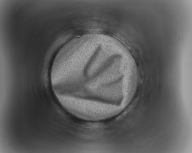 X0000089710245200707201806