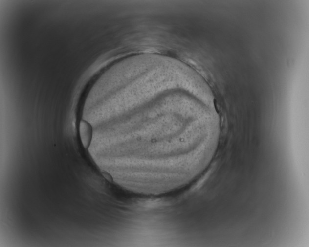 X0000089710246200707201806