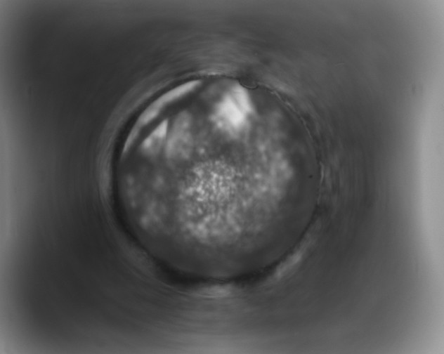 X0000089710247200707201806