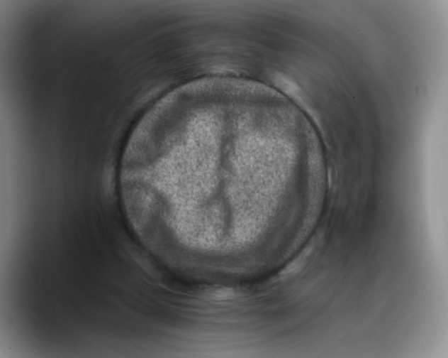 X0000089710249200707201806