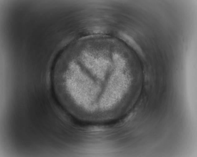 X0000089710250200707201806