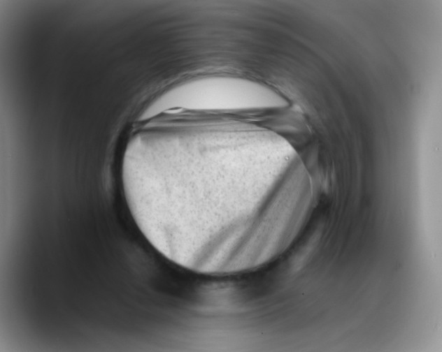 X0000089710252200707201806