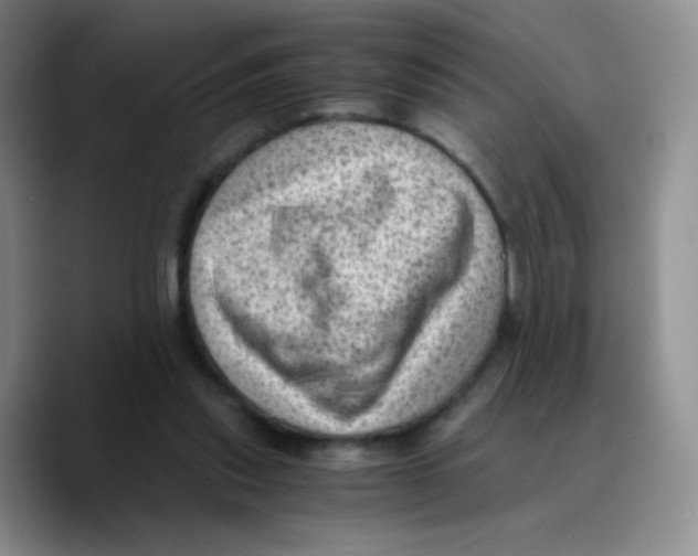 X0000089710253200707201806