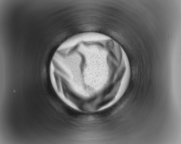 X0000089710254200707201806