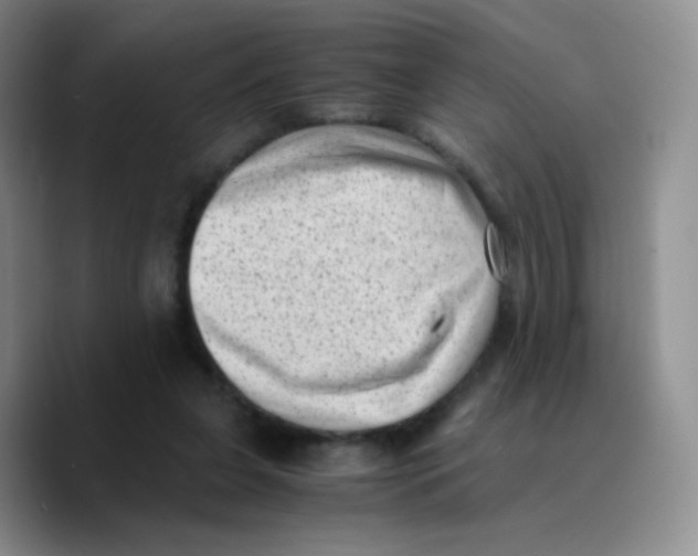 X0000089710255200707201806