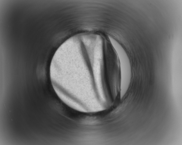 X0000089710256200707201806